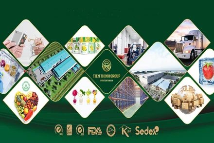 Công ty cổ phần Tập đoàn Tiến Thịnh vừa được cấp mã TT6. (Ảnh minh họa)