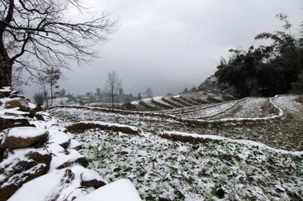 Dự báo trong đợt rét đậm, rét hại này vùng núi cao Bắc Bộ có khả năng xảy ra mưa tuyết và băng giá. (Ảnh minh họa)
