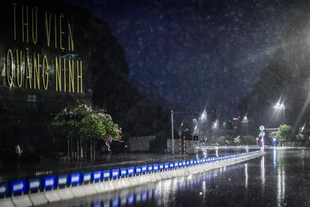 Bắt đầu từ 4 giờ sáng7/9, tại Hạ Long, Quảng Ninh đã xuất hiện mưa nhỏ kèm gió nhẹ. (Ảnh: THÀNH ĐẠT)