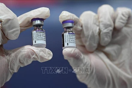 Vaccine ngừa Covid-19 của BioNtech-Pfizer. Ảnh: AFP/TTXVN