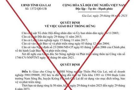 Gia Lai bác bỏ thông tin cấp gần 400 ha rừng cho doanh nghiệp