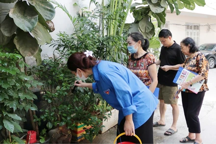 Cán bộ y tế, người dân trên địa bàn quận Đống Đa (TP Hà Nội) kiểm tra bọ gậy để phòng bệnh sốt xuất huyết. 