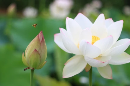 Khơi thông nguồn lực phát triển văn hóa 