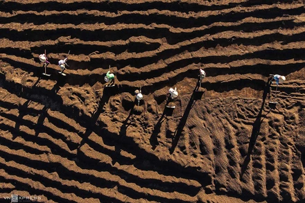 Giá hàng hóa nguyên liệu tăng mạnh