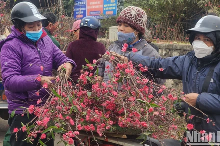 Ảnh minh họa: Thành Đạt
