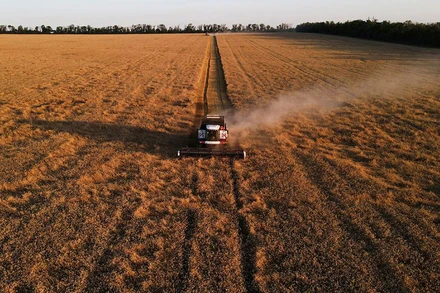 Ảnh minh họa. Nguồn: Reuters