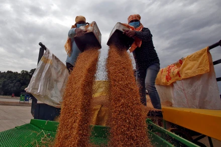 Ảnh minh họa. Nguồn: Reuters