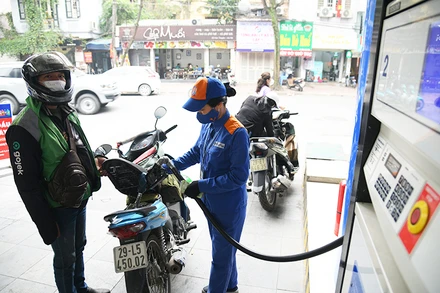 Ảnh: THÀNH ĐẠT