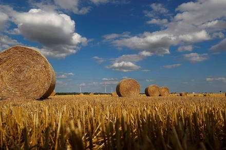 Ảnh minh họa. Nguồn: Reuters