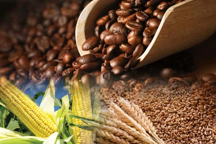 Dòng tiền đầu tư đến thị trường gia tăng, giá hàng hóa giảm mạnh