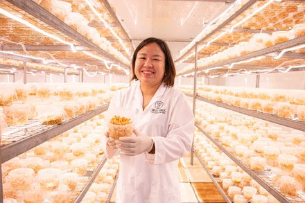 Người phụ nữ nuôi cấy đông trùng hạ thảo Made in Việt Nam