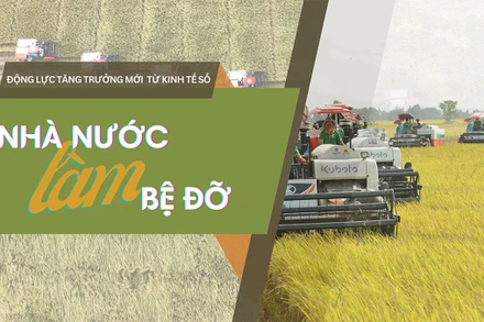 Dàn máy gặt của Công ty Lộc Trời trên cánh đồng lúa xuất khẩu châu Âu. (Ảnh NGÔ QUÝ)