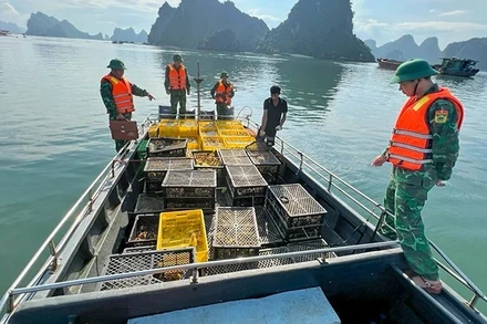 Cán bộ, chiến sĩ bộ đội biên phòng tỉnh Quảng Ninh bắt giữ phương tiện chở gia cầm và trứng gia cầm nhập lậu trên vùng biển xã Quan Lạn, huyện Vân Đồn. (Ảnh Xuân Hùng)