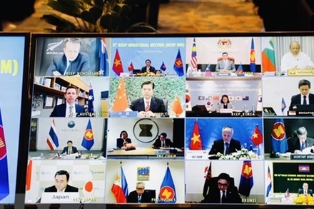 Hội nghị các Bộ trưởng kinh tế của RCEP lần thứ 8. (Ảnh: Trần Việt/TTXVN)