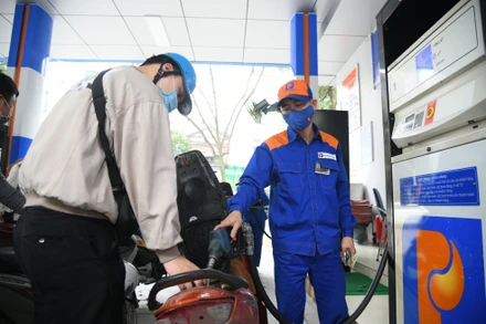 Ảnh: THÀNH ĐẠT