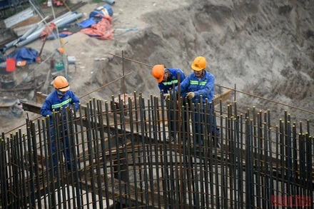 Ảnh minh họa: THÀNH ĐẠT