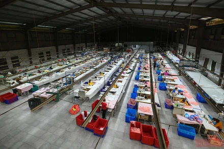 Ảnh minh họa: THÀNH ĐẠT