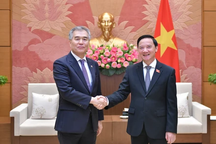 Phó Chủ tịch Quốc hội Nguyễn Khắc Định và Chủ tịch Hội đồng thành phố Seoul Kim Hyeonki tại cuộc tiếp. Ảnh: daibieunhandan.vn