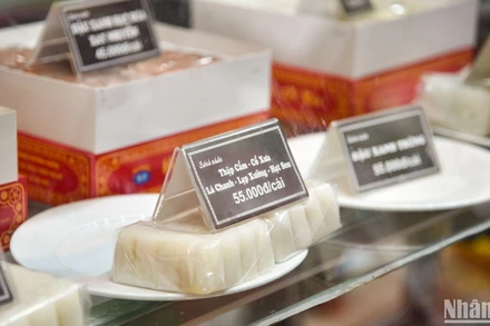 Ảnh minh họa: Nhật Quang