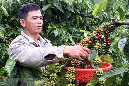 Giá hàng hóa nguyên liệu thế giới chưa thể kết thúc đà giảm