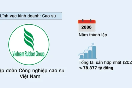 Tập đoàn Công nghiệp Cao su Việt Nam (VRG)