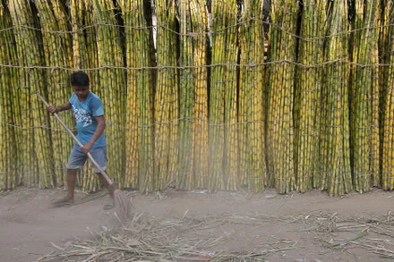 Ảnh minh họa. Nguồn: Reuters