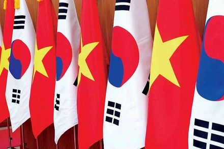 Thúc đẩy hợp tác Việt Nam-Hàn Quốc thực chất và toàn diện