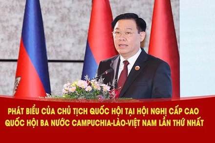 Chủ tịch Quốc hội Vương Đình Huệ phát biểu tại hội nghị. (Ảnh: TTXVN)