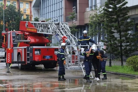 Ảnh minh họa: TTXVN