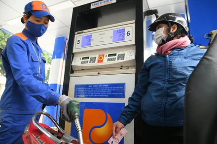 Ảnh: THÀNH ĐẠT