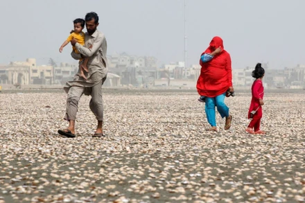 Ảnh minh họa. Nguồn: Reuters