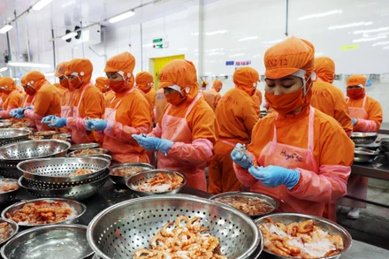 [Infographics] 7 tháng thu hút 16,24 tỷ USD vốn FDI, xuất siêu 15,23 tỷ USD