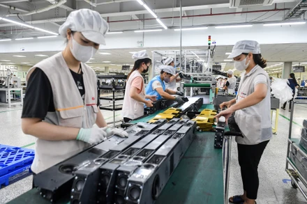 Công bố danh sách 1.000 doanh nghiệp nộp thuế lớn nhất Việt Nam