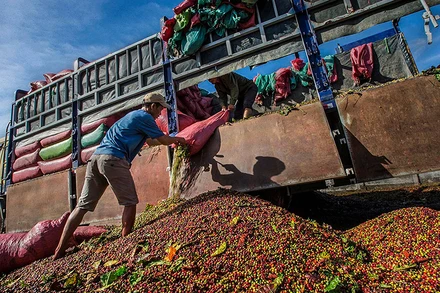 Yếu tố cung cầu trở lại, giá hàng hóa thế giới xu hướng tăng