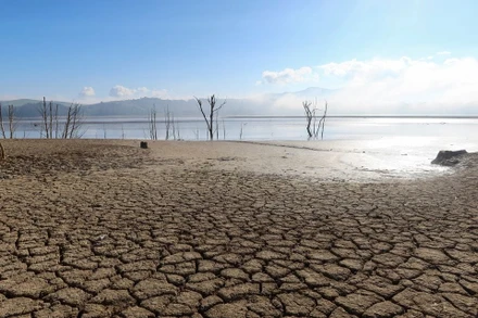 Ảnh minh họa. Nguồn: Reuters