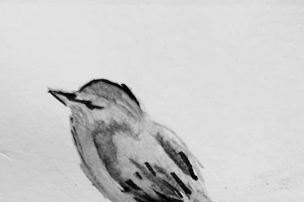 Minh họa trang thơ: Thu Hà