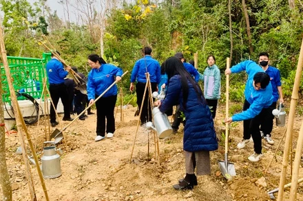 Tuổi trẻ Hải Phòng trồng cây trên đồi Thiên Văn (quận Kiến An).