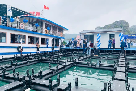 Cụm lồng bè nuôi trồng thủy sản thiết kế kiểu mới vừa hạ thủy trên biển Cát Bà.