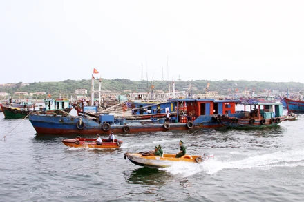 Các lực lượng chức năng tăng cường kiểm tra, kiểm soát các tàu khai thác hải sản trên khu vực biển Bạch Long Vĩ.