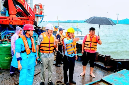 Lãnh đạo Công ty Điện lực Hải Phòng chỉ đạo công tác khắc phục sự cố đứt đường điện qua khu vực biển Cát Hải.