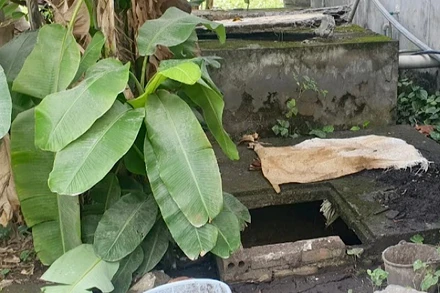 Bể nước thải - nơi phát hiện ra bộ hài cốt người mất tích cách đây 13 năm.