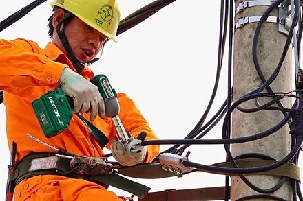 Trong nắng nóng, công nhân Điện lực Hải Phòng vẫn tập trung nâng cấp, khắc phục sự cố lưới điện bảo đảm cung cấp điện ổn định, an toàn cho người dân, doanh nghiệp.