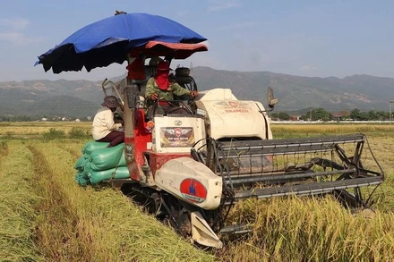 Máy móc thay sức người làm việc mải miết trên cánh đồng Mường Thanh.