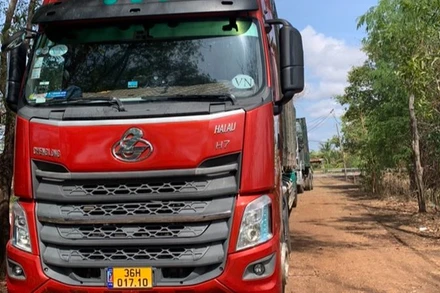 Xe ô-tô mang biển kiểm soát 36H-01710, Rơ-móc số 36R- 02873 vận chuyển 3 cây Bằng lăng bị tạm giữ để điều tra làm rõ.