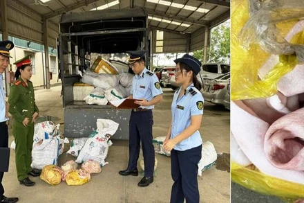 Công an cùng quản lý thị trường kê biên số lượng bì lợn không rõ nguồn gốc.
