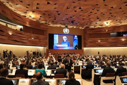 Một phiên họp tại Khóa họp Đại Hội đồng Y tế Thế giới (WHA) lần thứ 77, ngày 27/5/2024. (Ảnh: Anh Hiển/TTXVN)