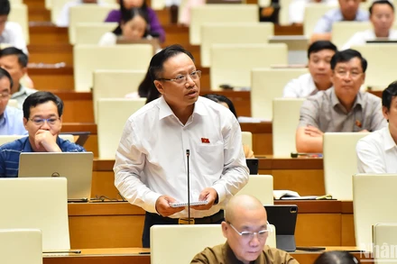 Đại biểu Nguyễn Trúc Anh (Hà Nội) phát biểu. (Ảnh: THỦY NGUYÊN)