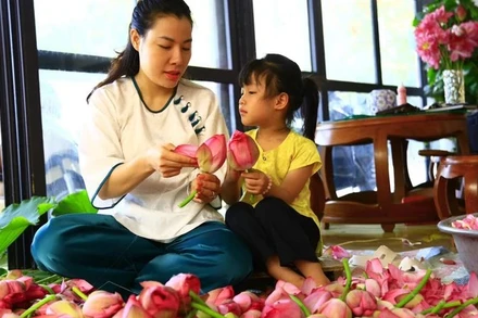 Người dân vùng ven hồ Tây (Hà Nội) truyền cho nhau kinh nghiệm ướp trà sen bách diệp.