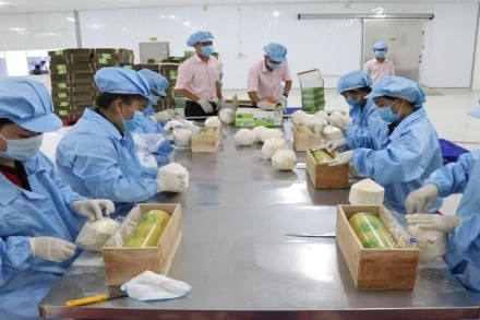 Ảnh minh họa. (Ảnh: TIẾN ANH)