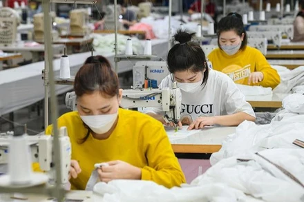 Ảnh minh họa. (Ảnh: THÀNH ĐẠT)